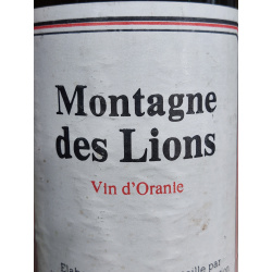 Montagne des Lions.
