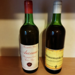 Монастырская изба, Агалина.