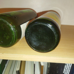 Монастырская изба, Агалина.