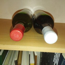 Монастырская изба, Агалина.