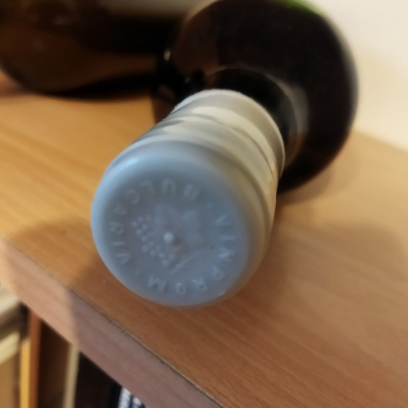 Монастырская изба, Агалина.