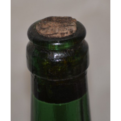 Мускат Украинский 1965 г.у.